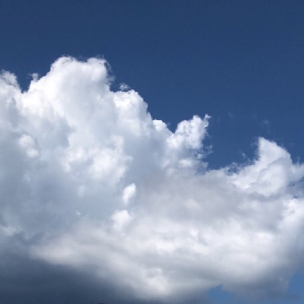 Meet your Posher, Yarizsa